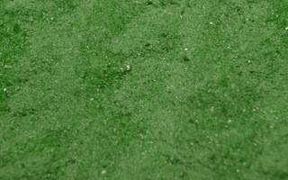 Northstar Small Forest Green