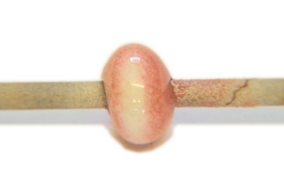 Thompson Enamel Pink Flesh