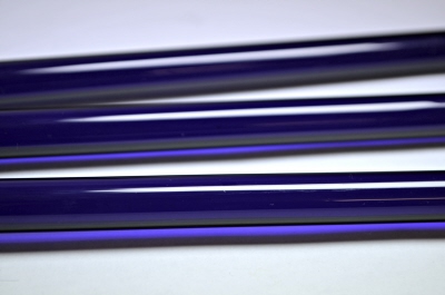 Asian Blue Bee
