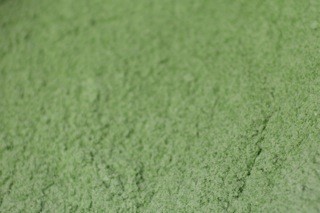 Thompson Enamel Misty Green